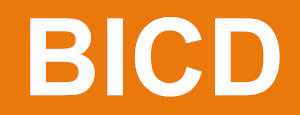 BICD Global